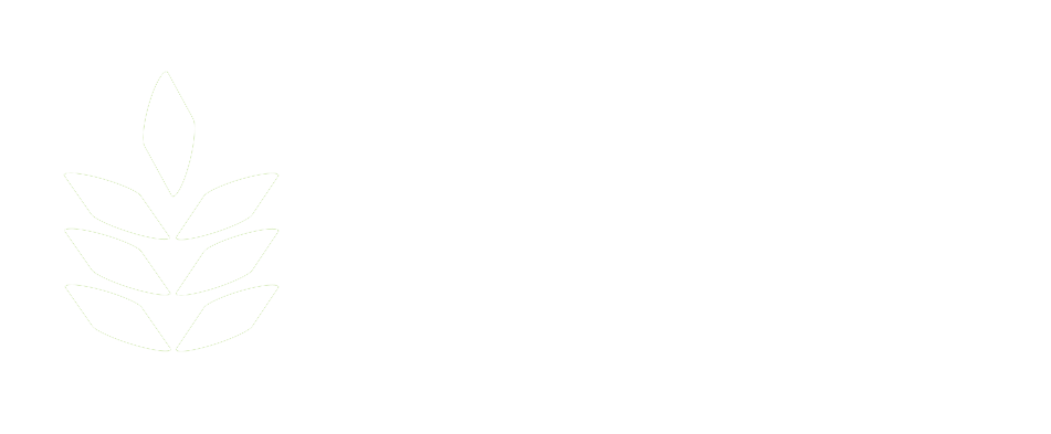 National Arab Foods LLC